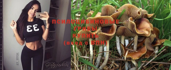 2c-b Верея